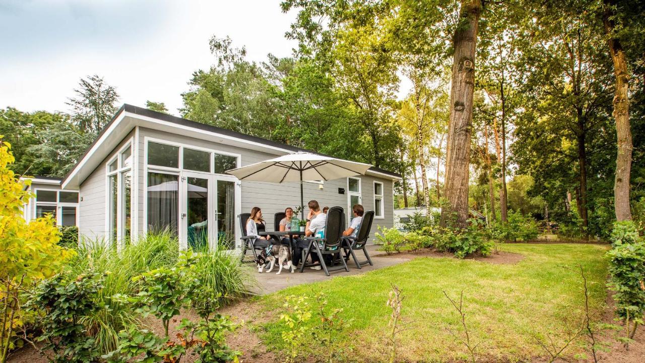 Topparken - Recreatiepark 'T Gelloo Ede Værelse billede